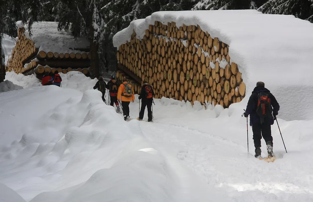 Gasthof Edelweiss-1